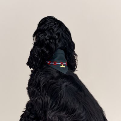Maillons dog bandana, L | Hermès USA